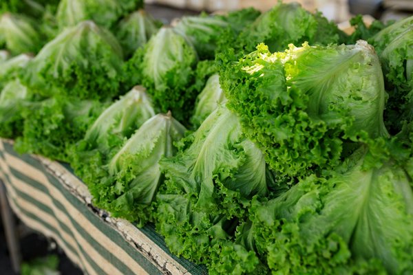 Élancez votre resto avec une dark kitchen à paris