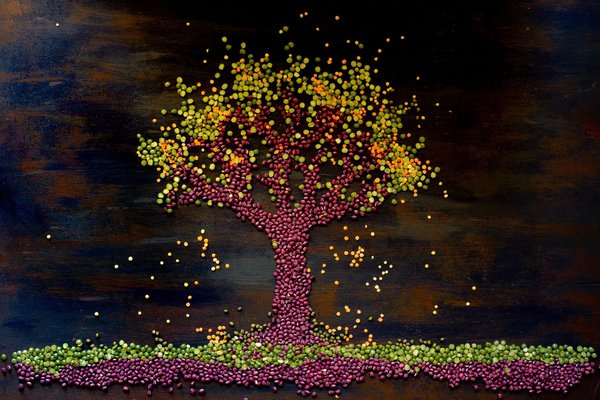 les aliments riches en protéines végétales pour soutenir la musculation et la perte de poids