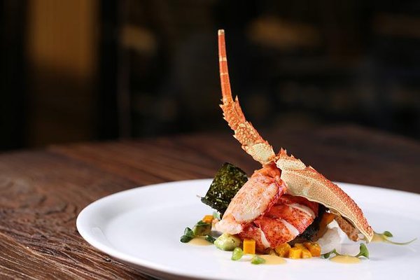 Faites cuire votre homard : Le guide complet de la cuisson du homard bleu